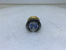Eagle 690 15 Amp 125V Glass Plug Fuse - Box of 4