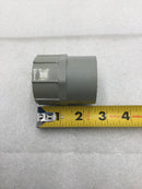 Scepter FA-25 1 1/4" PVC Female Conduit Adapter/Threaded Fitting
