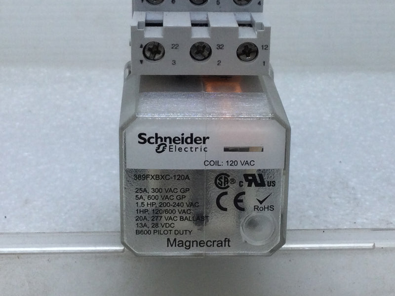 Schneider Electric 389FXBXC-120A 120 Amp Coil: 120V Power Relay SE Relay DPDT Plug 8-Blades