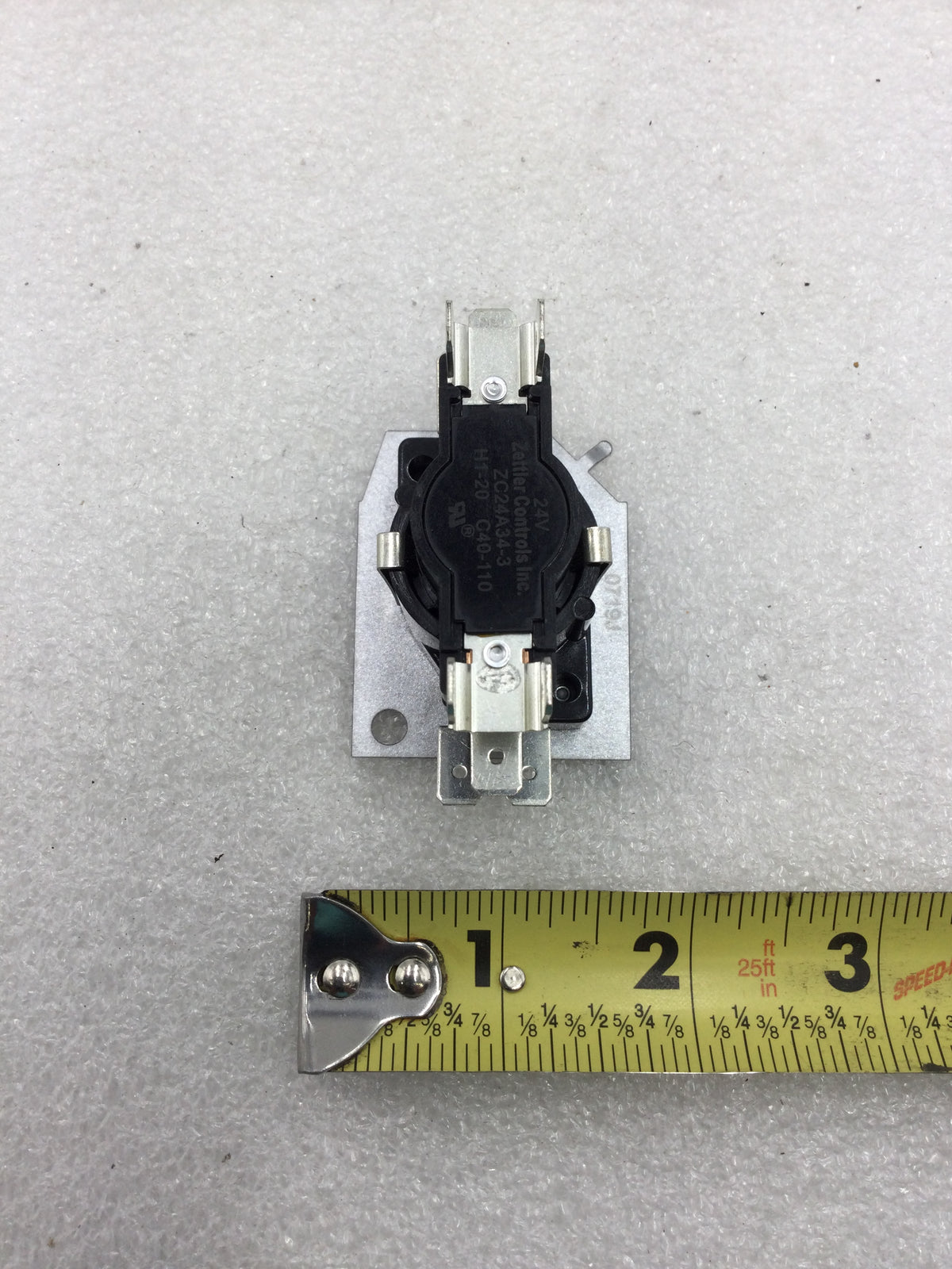 PhotoAug282024_83817AM_1200x.