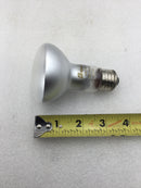 Topaz 45R20FL/130V-51 45 Watt 130 VAC Indoor Reflector Flood Lamp 340 Lumens