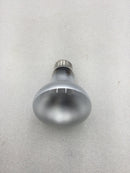 Topaz 45R20FL/130V 45 Watt 130 VAC Indoor Reflector Flood Lamp 340 Lumens