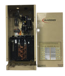 Generac 0E7969 Guardian 12 Circuit 100 Amp 120/240V Transfer Switch/Load Center
