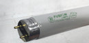 Fusion Lamps FF32T8/841/FLS22 32W 3050Lm 4100K Fluorescent Tube