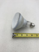 Lot of 2 Sylvania 65 Watt 130 VAC Flood Lamp Bulb (410454)