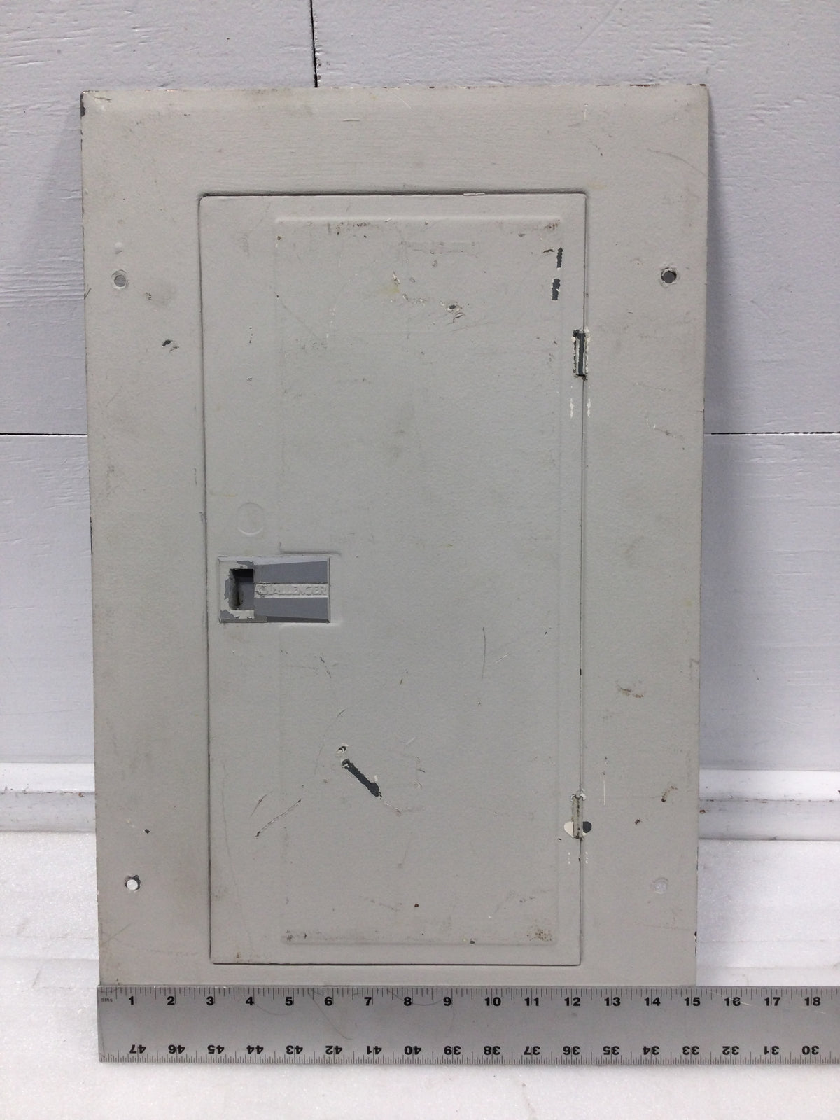Challenger SL15(20-30)CT 150 Amp 30 Space 120/240V Panel Door Only 24