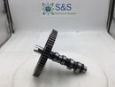 Briggs & Stratton 84006159 Engine Camshaft with 4 Lifters