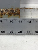 ITE 4 Space 120/240V Dead Front Only 12" x 11"