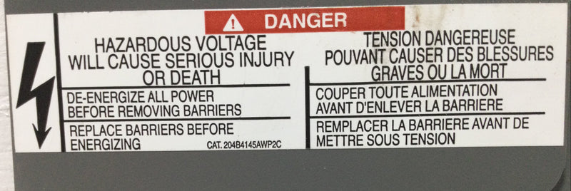 GE 204B4145AWP2C Dead Front Cover for 8000-Line Motor Control Cabinet 19.5"X12"