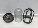 Benjamin Thomas VFS09CD1N Vintage Incandescent Vapolet Light