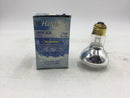 Halco R20CL100/12V 14020 100W 12V Clear Pool Lamp Brass Base
